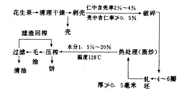 常見的幾種油料作物使用螺旋榨油機壓榨的工藝（中）