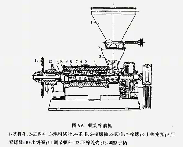 雙象榨油機講解：如何維護和保養榨油機？