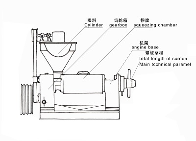 雙象榨油機(jī)產(chǎn)品介紹6YL-68螺旋榨油機(jī)